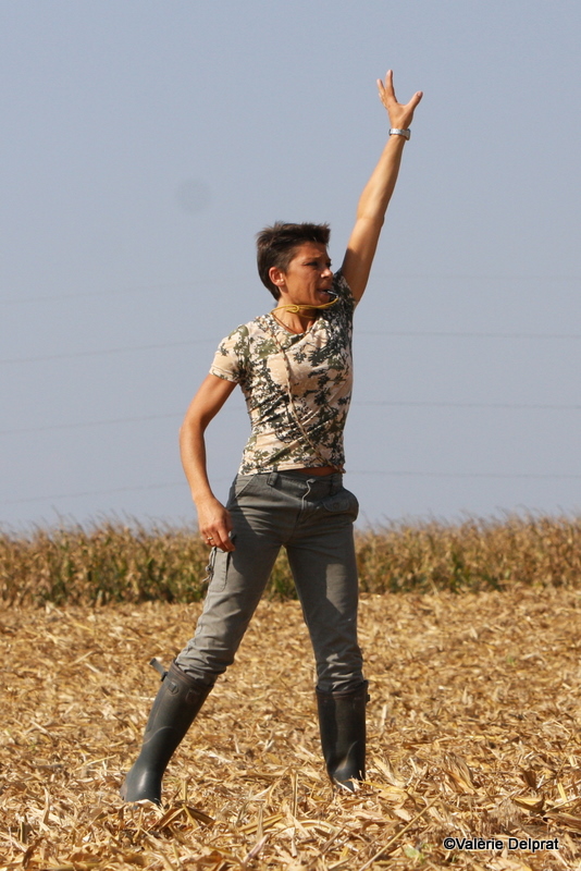 Field Erstein 09 (76).JPG